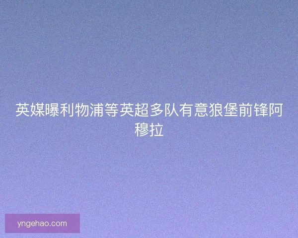 英媒曝利物浦等英超多队有意狼堡前锋阿穆拉