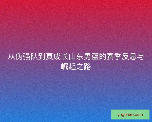 从伪强队到真成长山东男篮的赛季反思与崛起之路