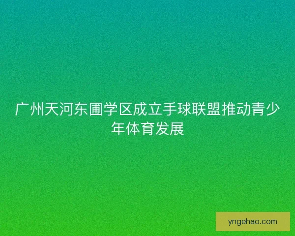 广州天河东圃学区成立手球联盟推动青少年体育发展