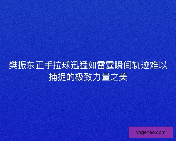 樊振东正手拉球迅猛如雷霆瞬间轨迹难以捕捉的极致力量之美 樊振东正手拉球迅猛如雷霆瞬间轨迹难以捕捉的极致力量之美