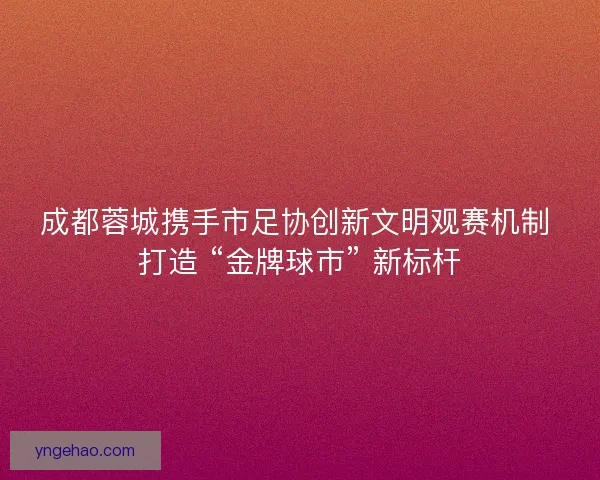 成都蓉城携手市足协创新文明观赛机制 打造 “金牌球市” 新标杆